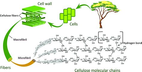 nanocellulose pictures